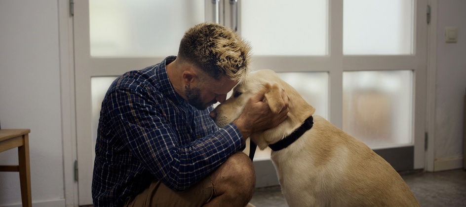 Fold7 brings real stories to Guide Dogs campaign